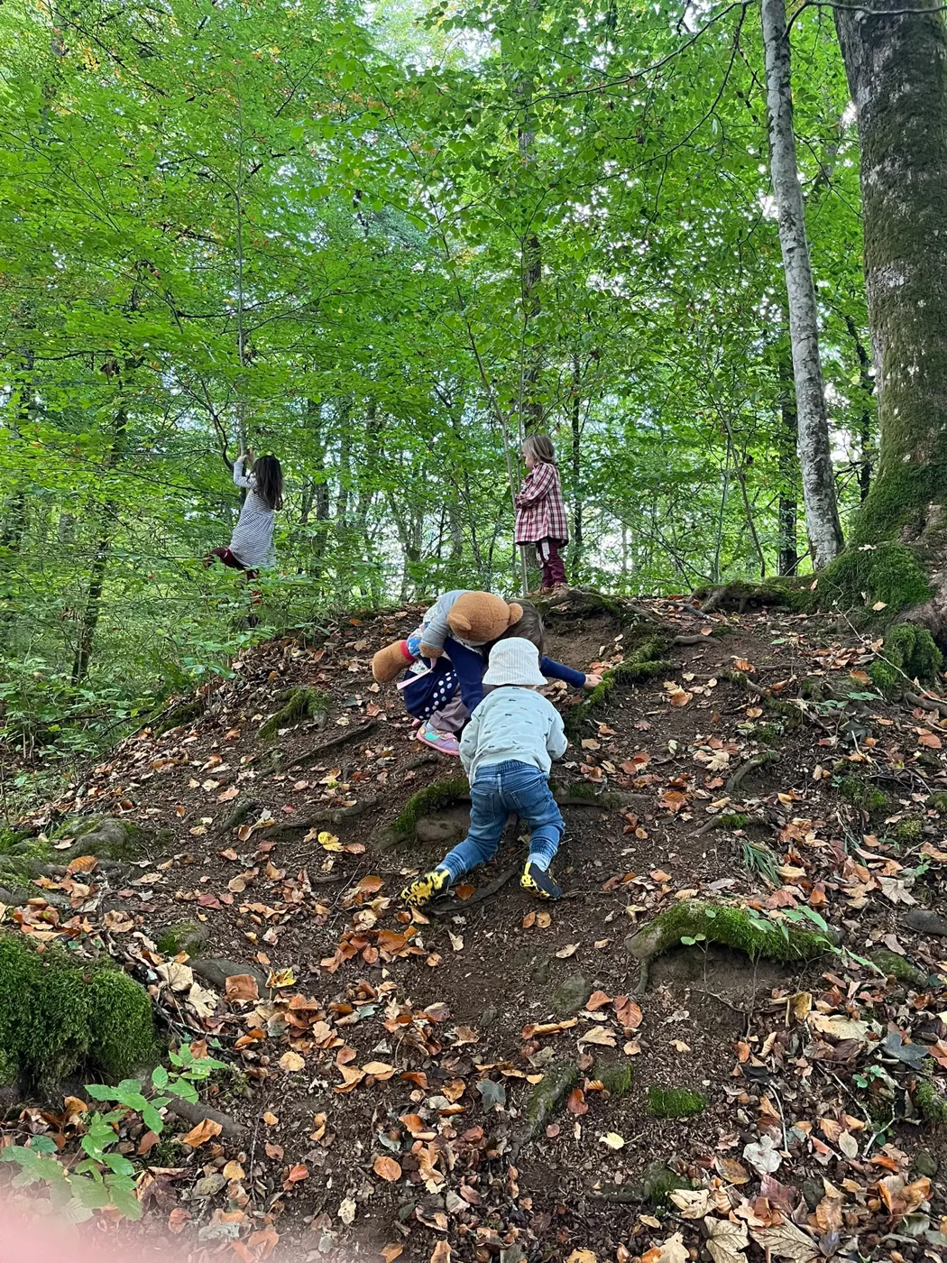 Kinder klettern im Herbstwald einen Hang hinauf